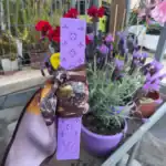 λαμπάδα wax melt tonka μέντα 25cm premium με μαντήλι και καρδιά