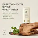 Beauty of Joseon  Matte Sun Stick Mugwort + Camelia - Ματ αντηλιακό στικ - Image 7